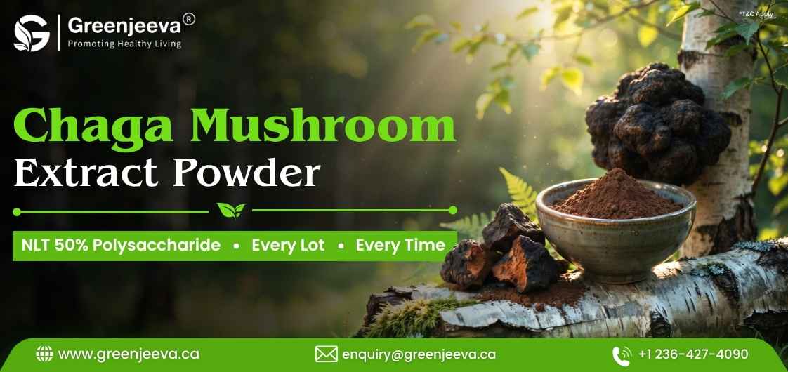 How to Read a Spec Sheet for Chaga Mushroom Extract Powder 50% Polysaccharide